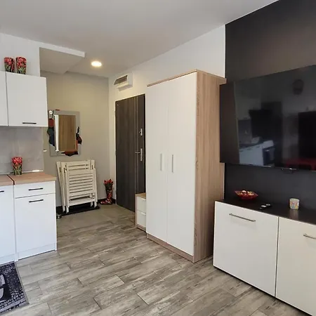 アパート Parkowe Nr 5 クフィジン