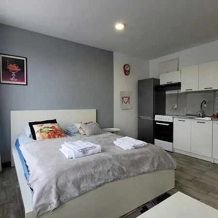 Parkowe Nr 5 アパート *